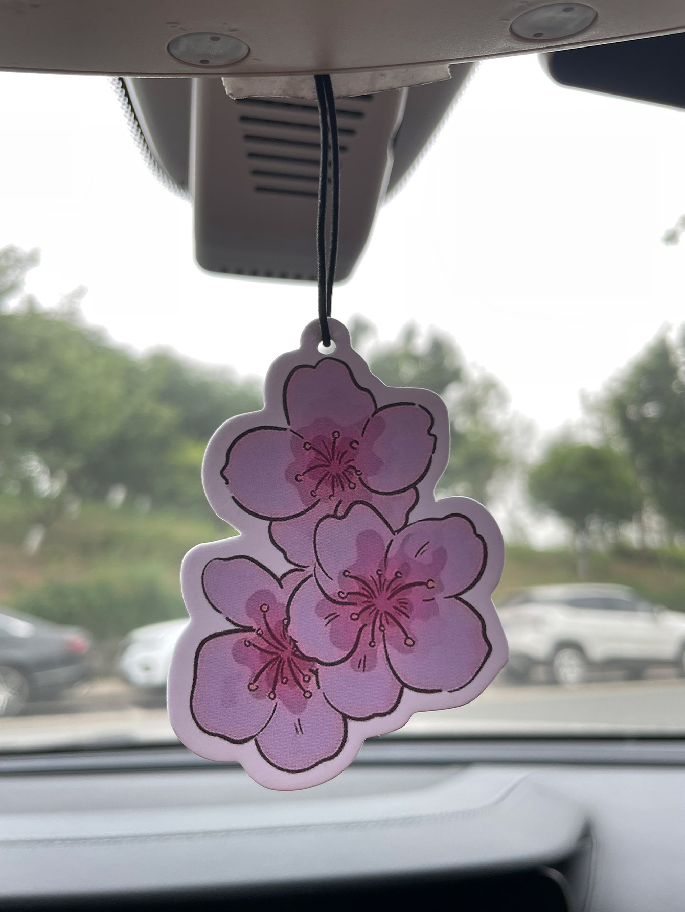 Home Fragrance Non Toxic - Perfume para Auto de Cinco Estrellas