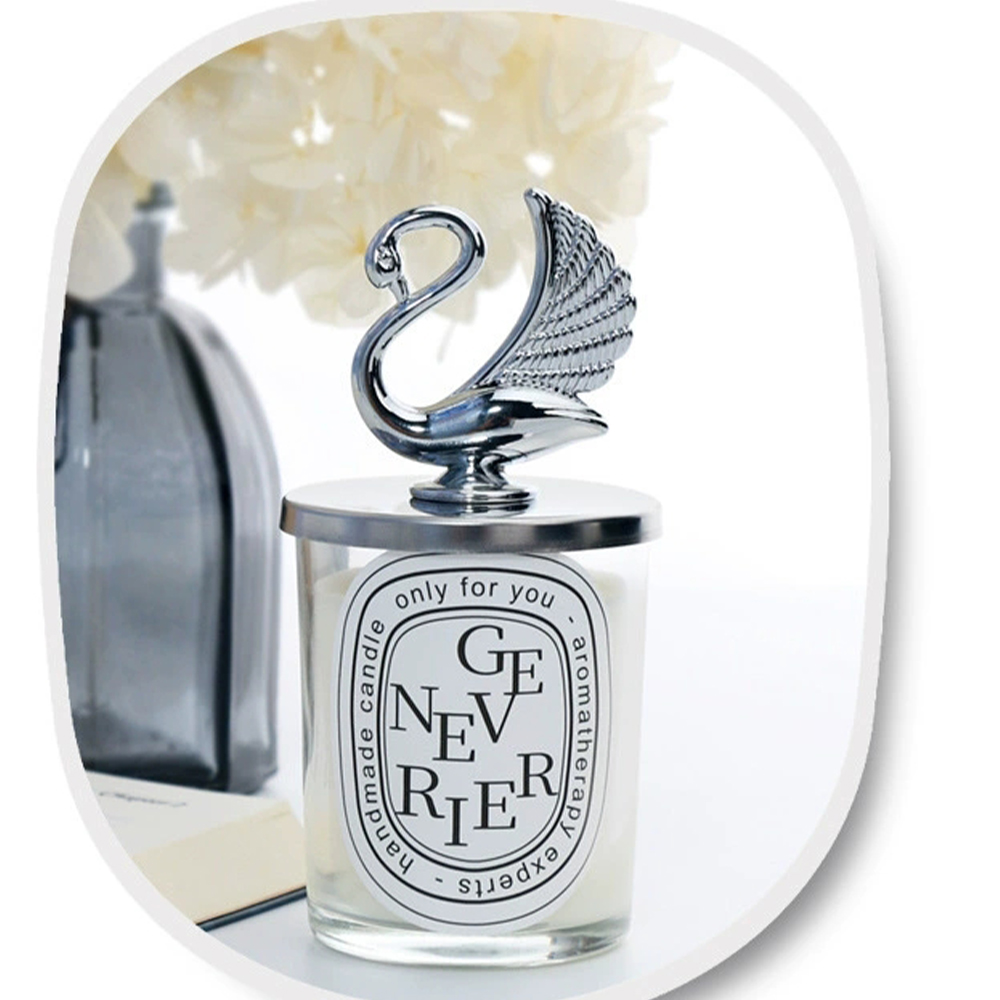 Vela de aromaterapia de cera d - Home Fragrance Wax Melts reseña y precio