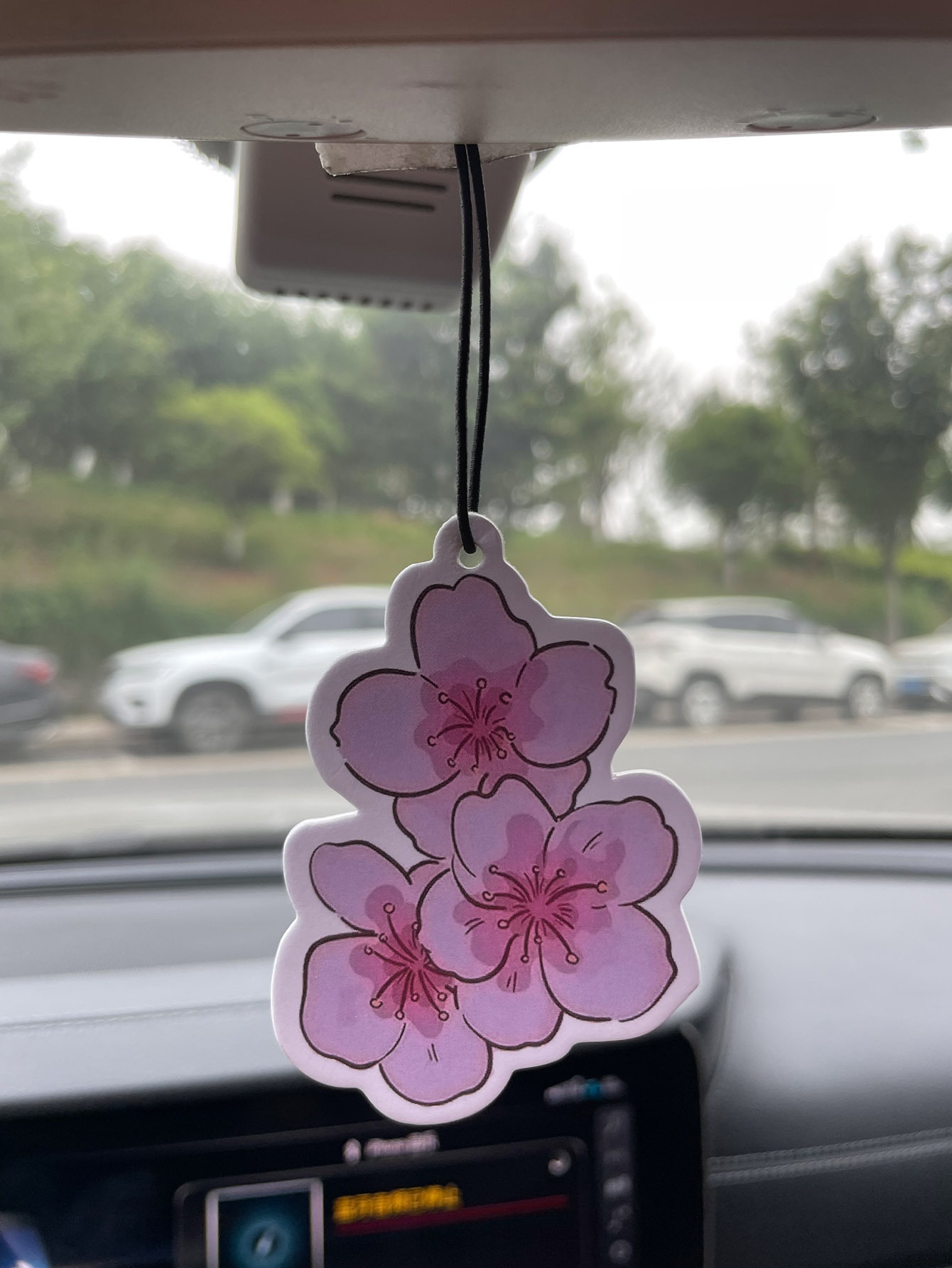 Perfume para Auto de Cinco Est - Home Fragrance Non Toxic reseña y precio